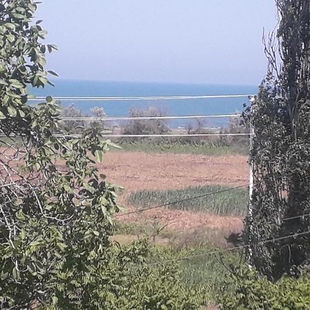 Rey 2 Bed & Breakfast Набран Екстериор снимка